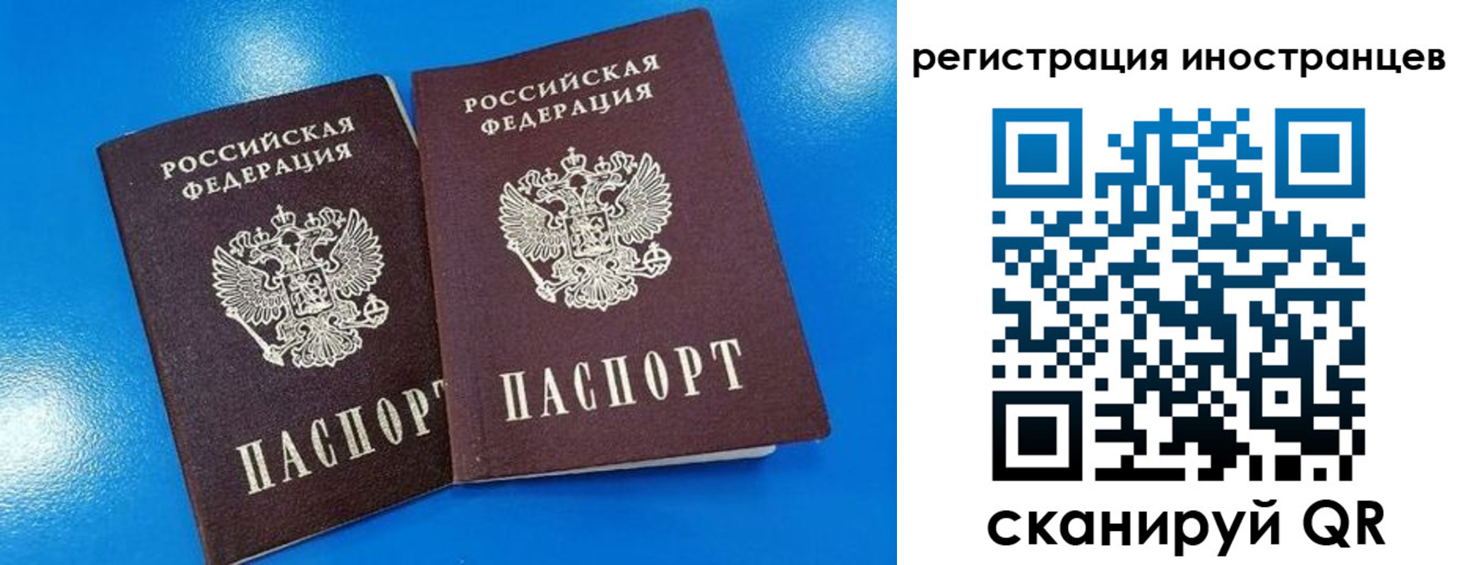 временная регистрация поиск в Купино