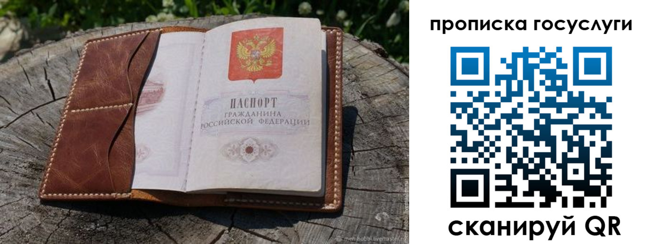 прописка для школы в Купино